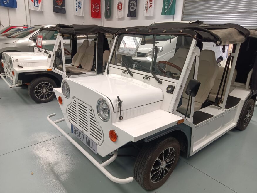 HOLLY E-BEACH ELECTRIC (MINI MOKE) pro Stück 19.950€