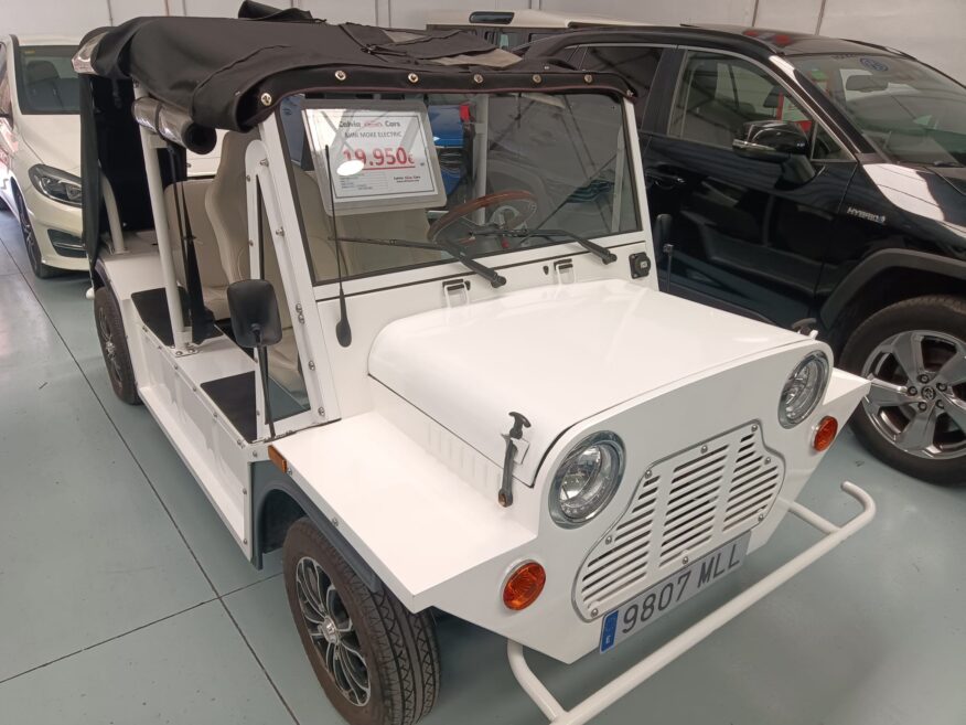 HOLLY E-BEACH ELECTRIC (MINI MOKE) pro Stück 19.950€