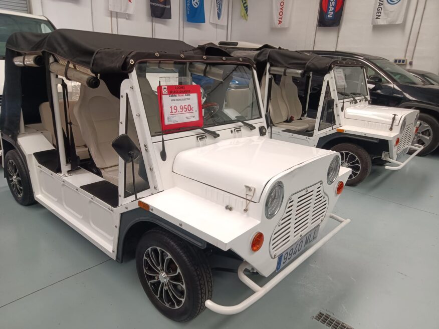 HOLLY E-BEACH ELECTRIC (MINI MOKE) pro Stück 19.950€