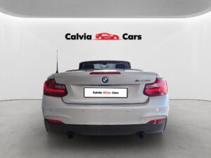 WBA1M11030V536521_05